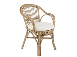 Poltrona Rattan